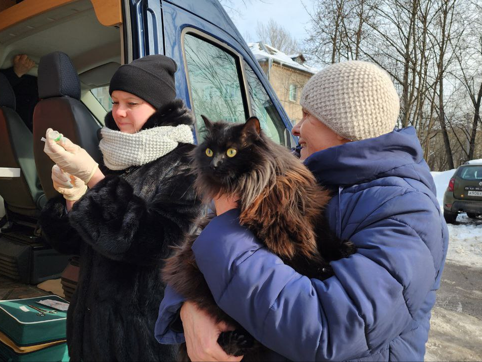 Ветврачи сделают животным бесплатные прививки от бешенства в Можайском округе