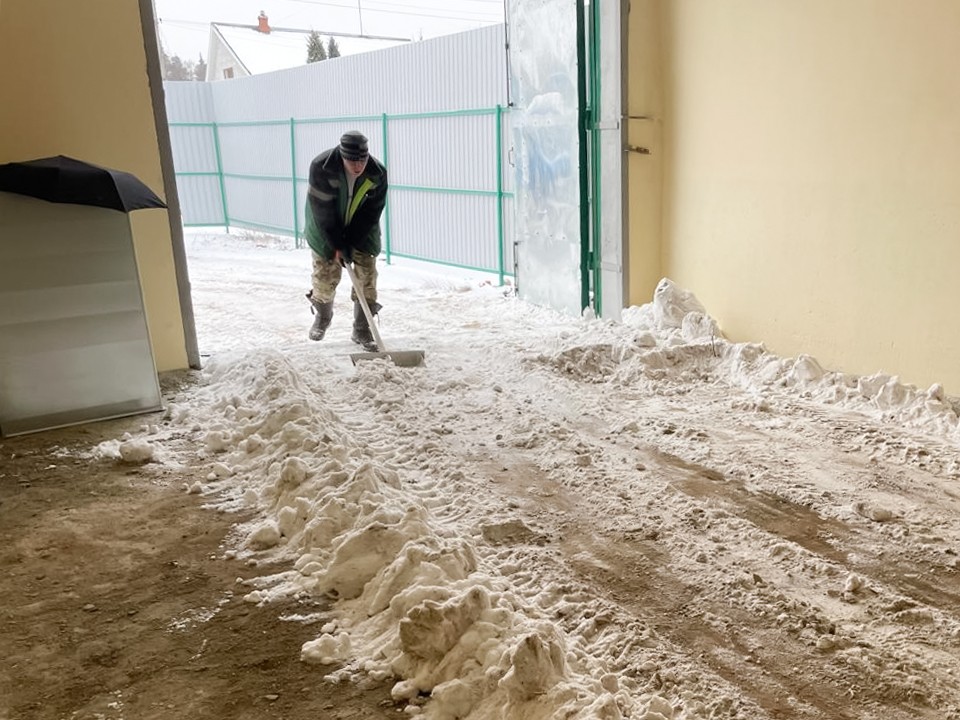 В Орехово-Зуеве началась подготовка холодильников для хранения будущих лесных культур