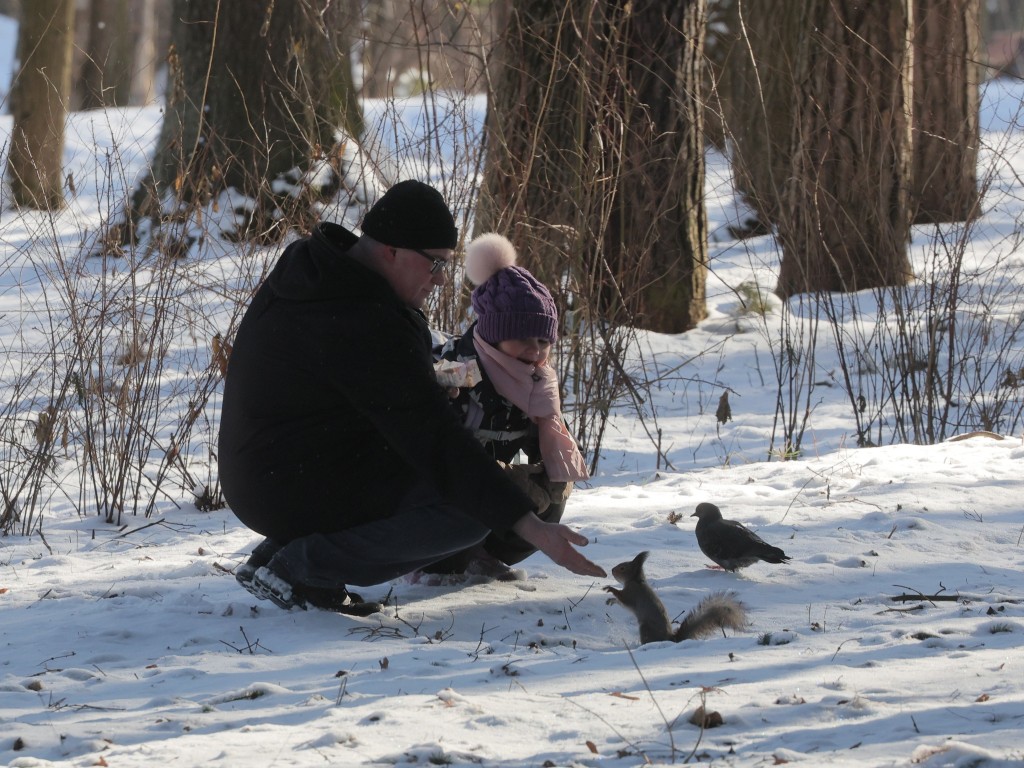 Февральских морозов в Подмосковье осталось на несколько ночей