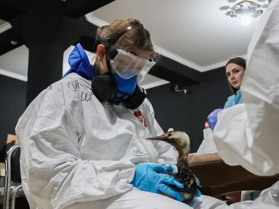 «Не всех удается спасти»: волонтер моря из Коломны рассказала о работе в Анапе