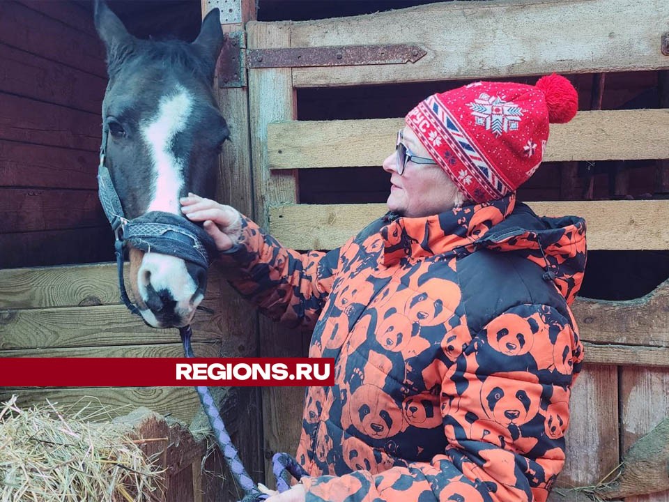 Конные прогулки для любителей верховой езды устраивают в деревне Дютьково