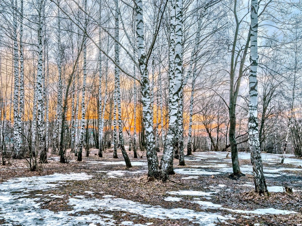 Житель Богородского округа сделал фото, поразившее сердца