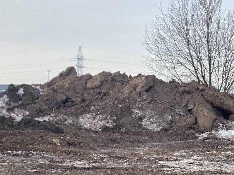 Суд инициировали против москвички из-за незаконного размещения отходов в Подмосковье