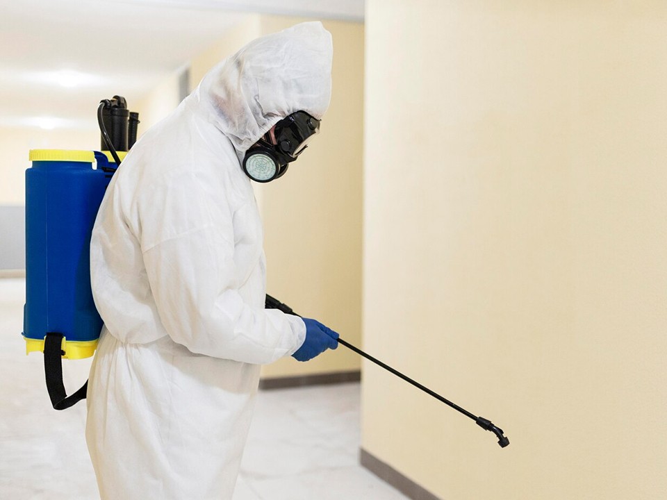 На каникулах в школе №3 в Одинцове будут травить тараканов