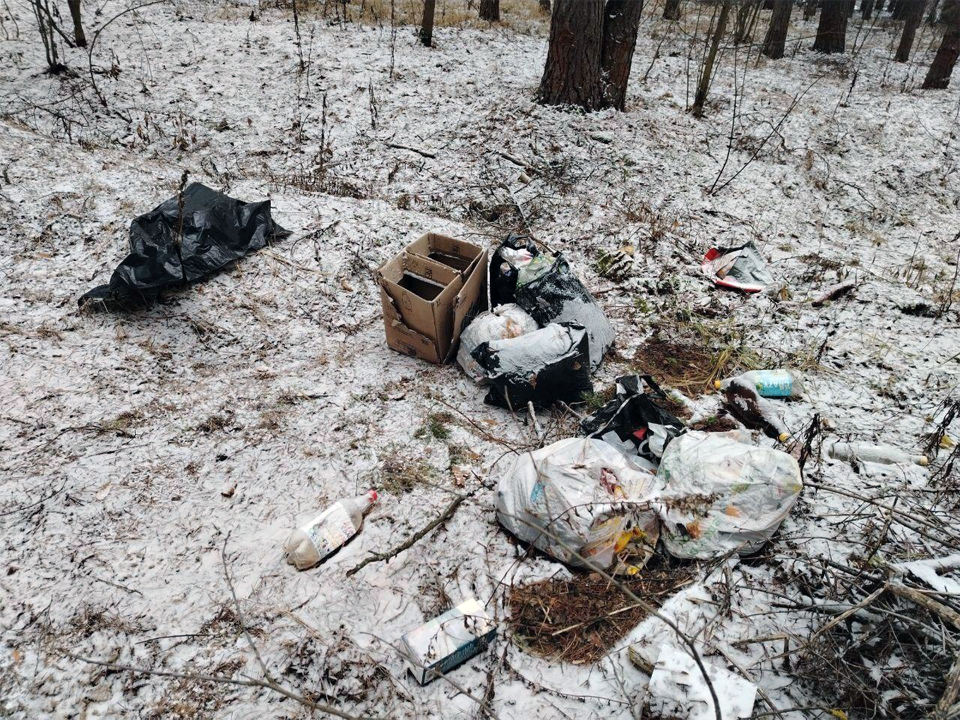 Лесничие убрали мусорную свалку около деревни Мелиховская