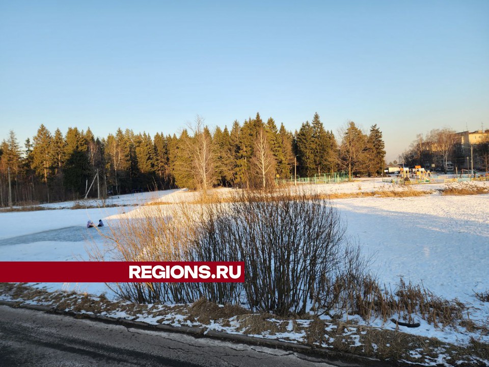 Власти Солнечногорска проверят рекультивацию карьера в Шелепанове