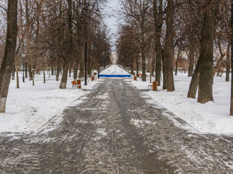 Московская область признана отстающим регионом по количеству снега