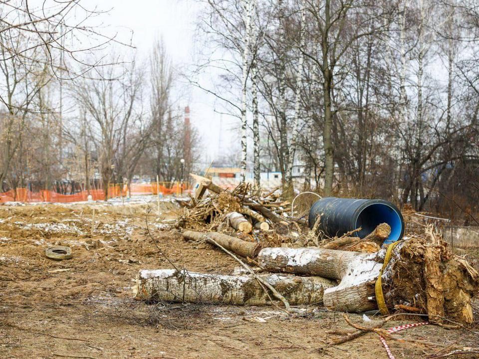 Деревья высадят летом на Индустриальной улице после прокладки коллектора