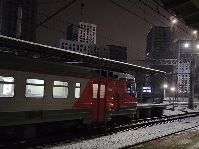 На перегоне Бирюлево-Домодедово сбита женщина