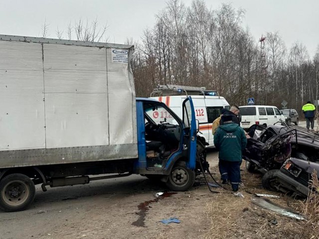 Пенсионерка погибла в результате ДТП под Воскресенском