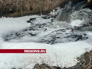 Загрязнение реки Малиновки химикатами грозит экологической катастрофой