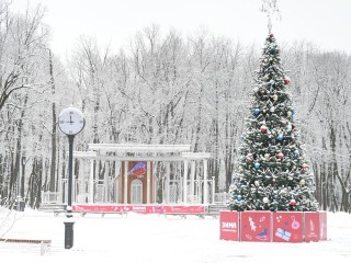 Рубка шашкой, творческие мастерские и экскурсии пройдут в парках Воскресенска