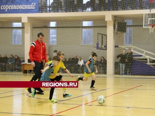 Звезды футбола Аленичев и Титов приехали на спортивный праздник в Луховицы