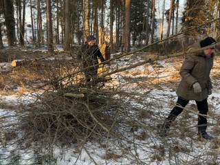 В Радовицком парке убрали территорию от старых деревьев