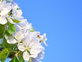 Настраиваться на весну, но не надеяться на май призвали синоптики