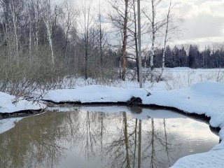 Забрать у захватчиков заповедную землю у ручья в Пешкове намерены власти