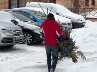 Хитрые предприниматели подкинули новогодний декор к мусорке в Лосино-Петровском