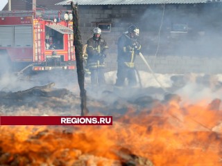 «Мособлпожспас»: несмотря на морозы, угроза пала травы в округе Луховицы велика