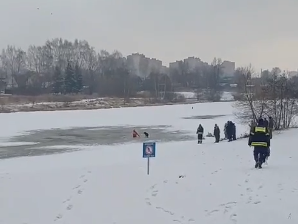 Провалившуюся под лед собаку вытащили из Клязьмы щелковские спасатели