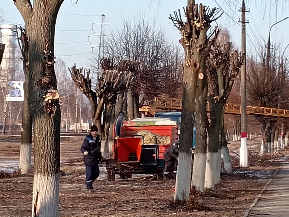 В Павловском Посаде и Электрогорске «омолаживают» деревья