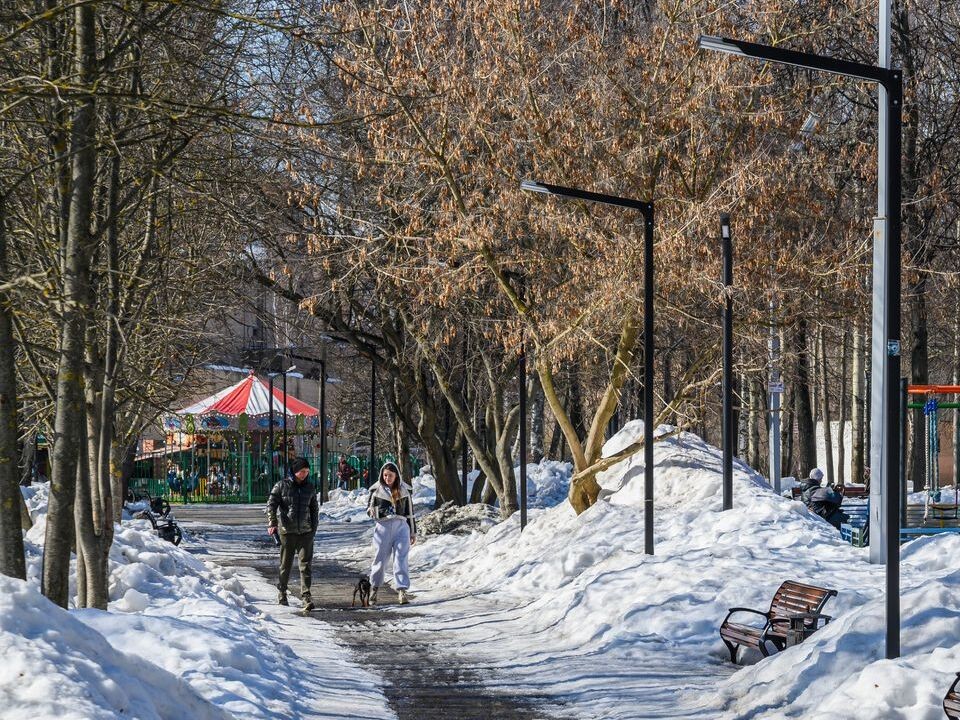 Температурные контрасты продемонстрировала погода в Московской области