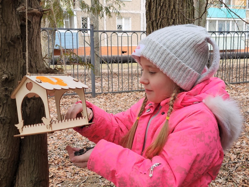 В Звенигороде заметили снегирей