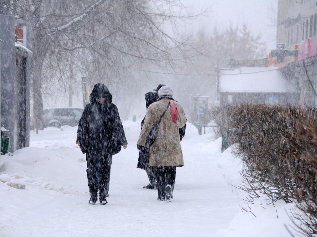 Мощный снегопад засняли на видео в Московской области