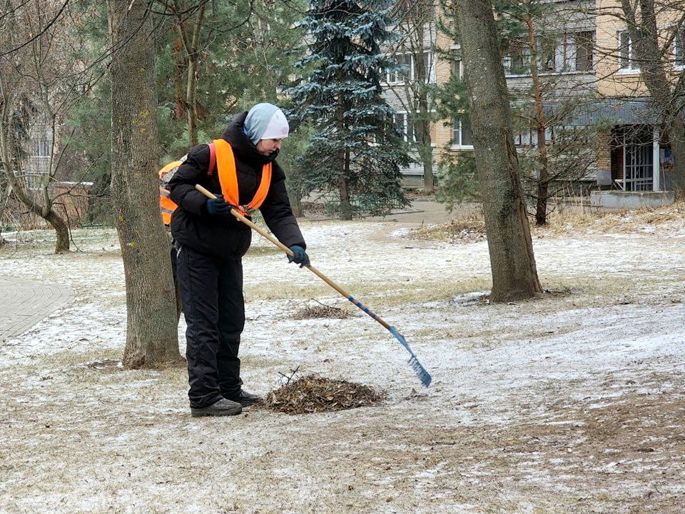 Бомжи оккупировали свалку в центре Ногинска, пугая прохожих