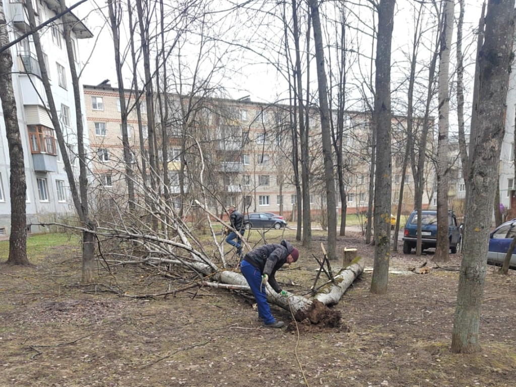 Вместо вырубленных деревьев на улице Ленина в Наро-Фоминске установят фонарные столбы