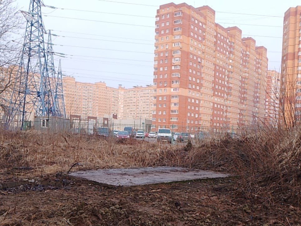 В лесопарке в Супонево разобрали незаконный дом для вечеринок