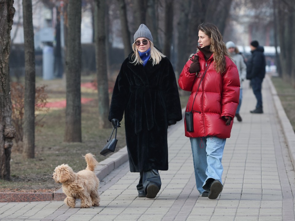 Морозы вернутся в Подмосковье в выходные