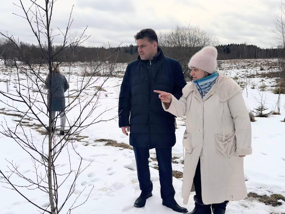 В Починках благоустроят парк в память о ветеране