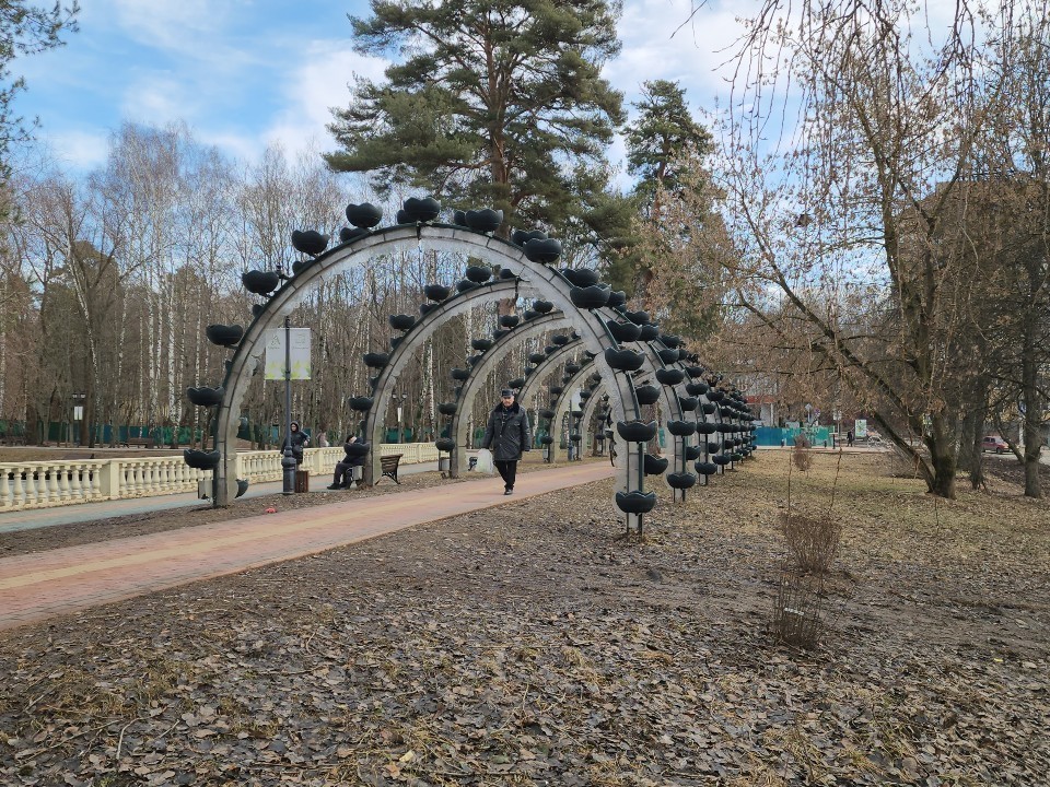 Синоптики спрогнозировали переменную облачность в Подмосковье 16 марта