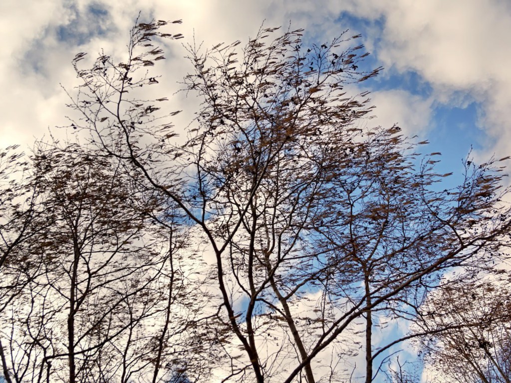 Ступинцев предупредили о надвигающейся непогоде