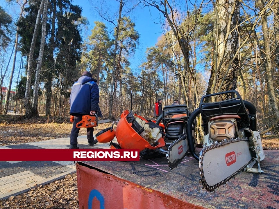 Протвинские коммунальщики очищают лес у торгового центра «Слава»