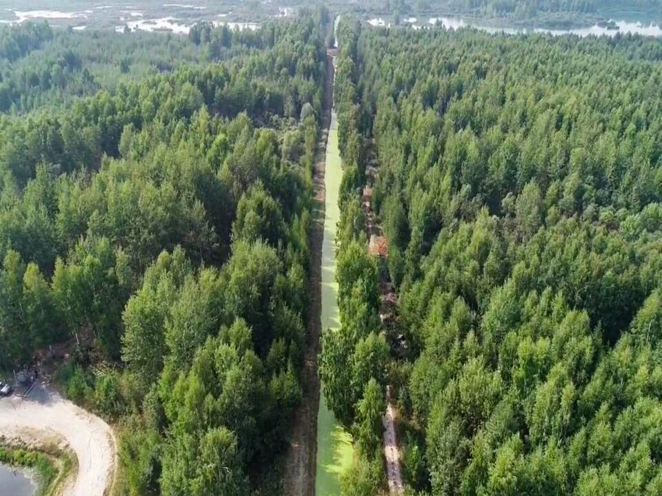 В Орехово-Зуеве проведут опашку 40 населенных пунктов  и лесопарковой зоны