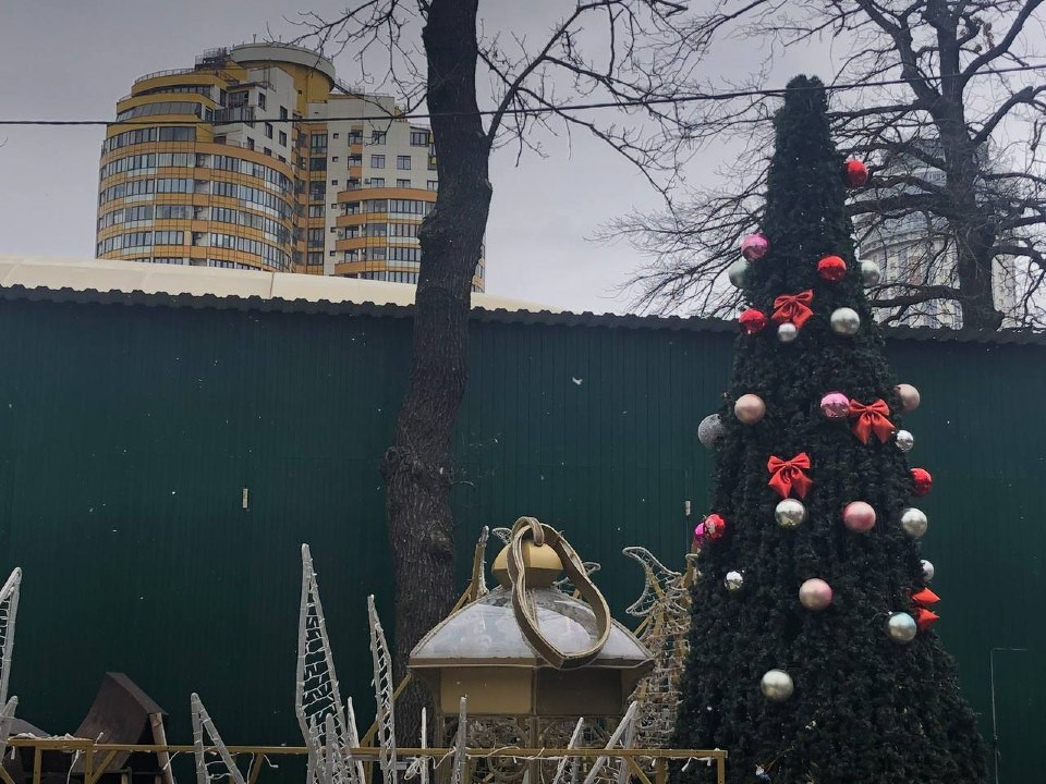 Последнюю подмосковную новогоднюю елку обнаружили на улице в Химках