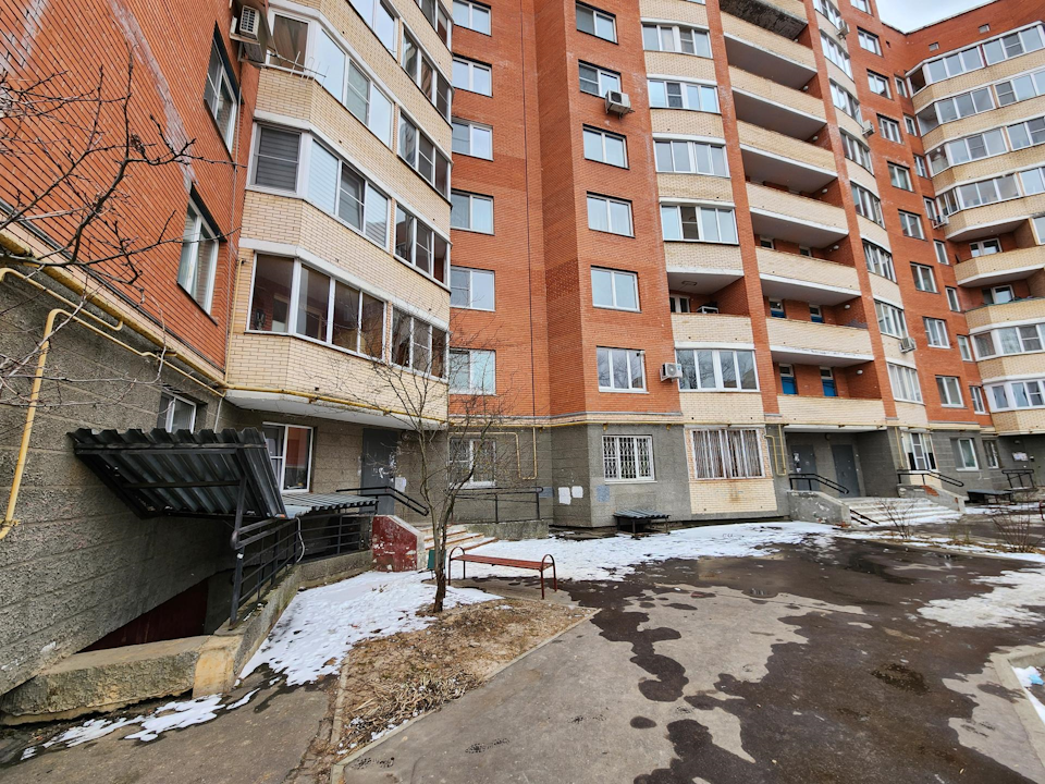 Дом 4А на Вишневом бульваре избавят от полчищ комаров и вони из подвала