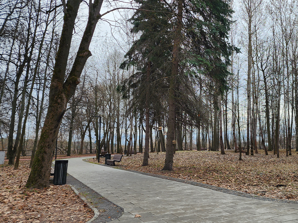 Парки Лосино-Петровского закрыли 14 марта из-за шторма