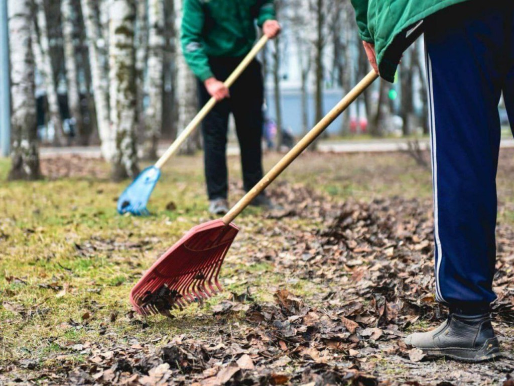 В парке «Победа» убирают старую листву и закупают новый инвентарь