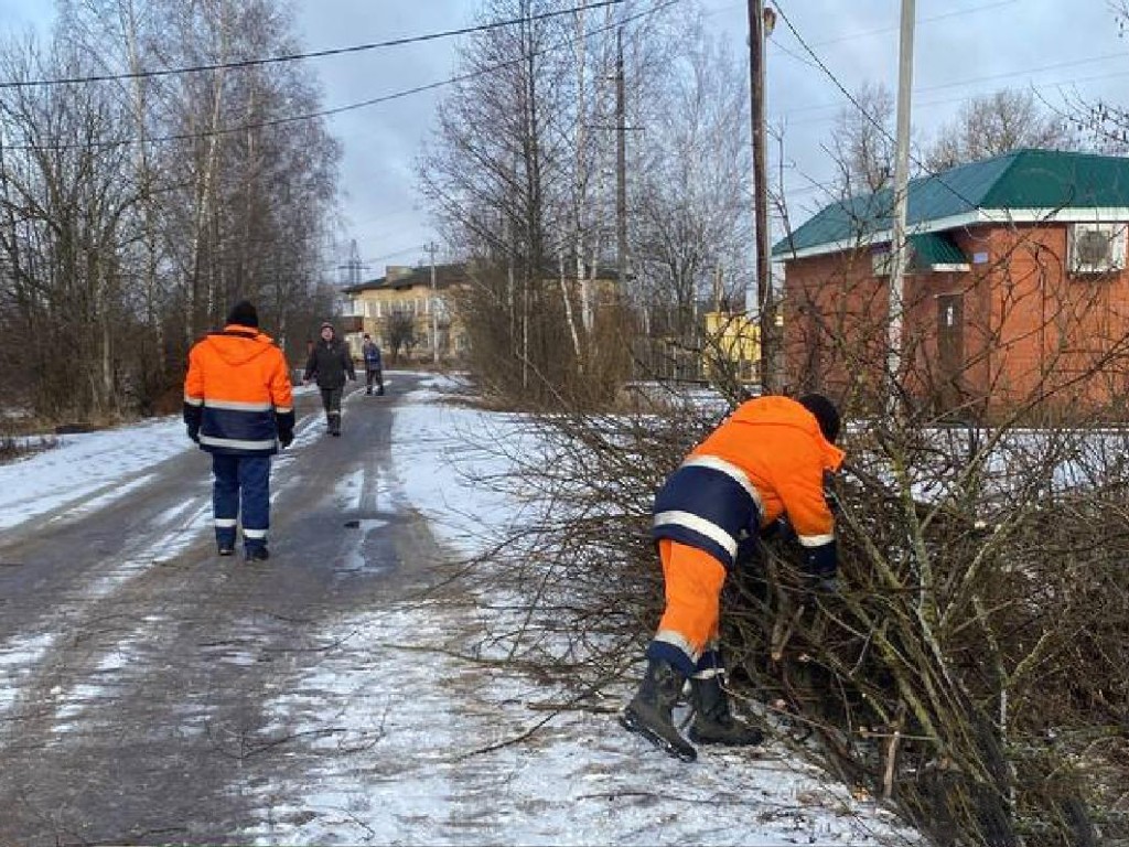 В Черустях вдоль дороги спилили разросшиеся кусты