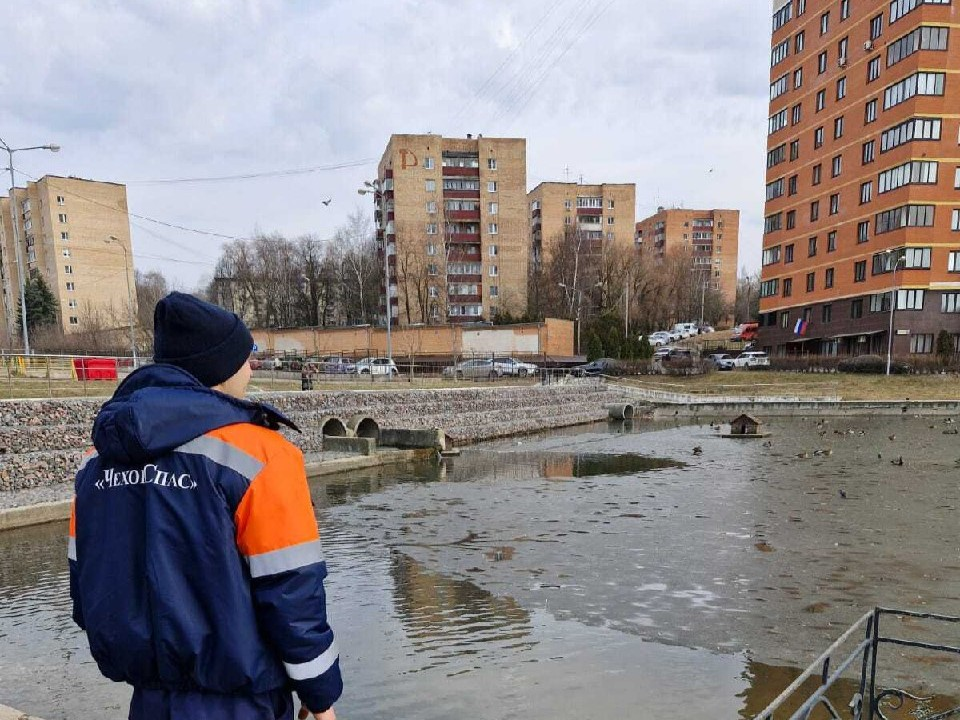 В Чехове с водоемов сошел лед