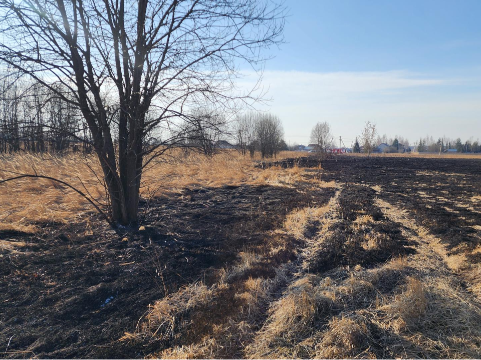 Пожарные оперативно потушили огонь в поле после падения беспилотника в Раменском