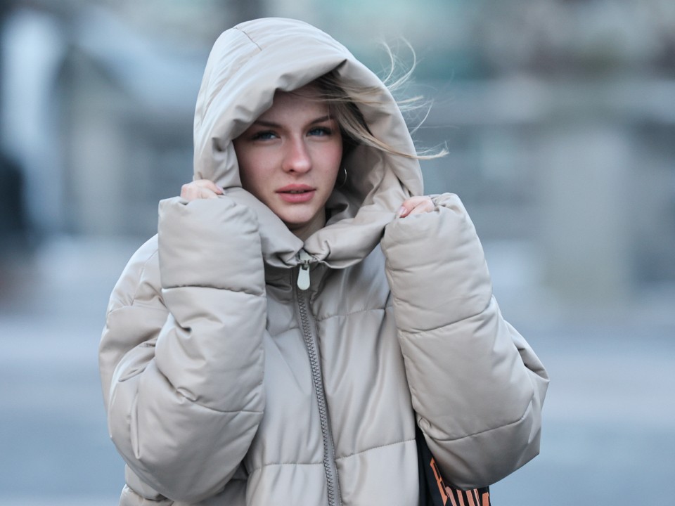 Порывы ветра 21 марта достигнут в Подмосковье 11 м/c