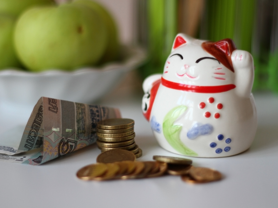 Финансовые аналитики призвали откладывать в копилку хотя бы по 500₽