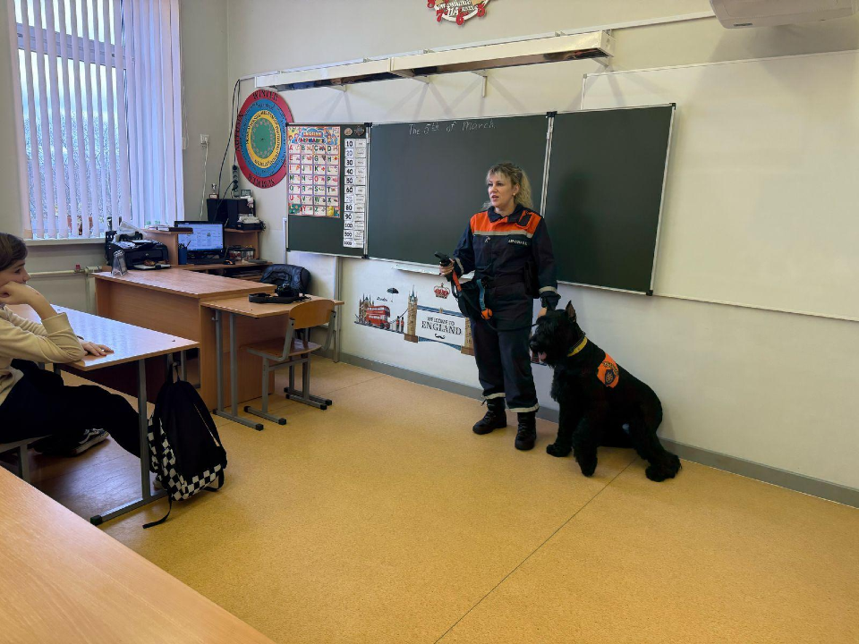Собаки-спасатели продемонстрировали школьникам Электрогорска уникальные трюки