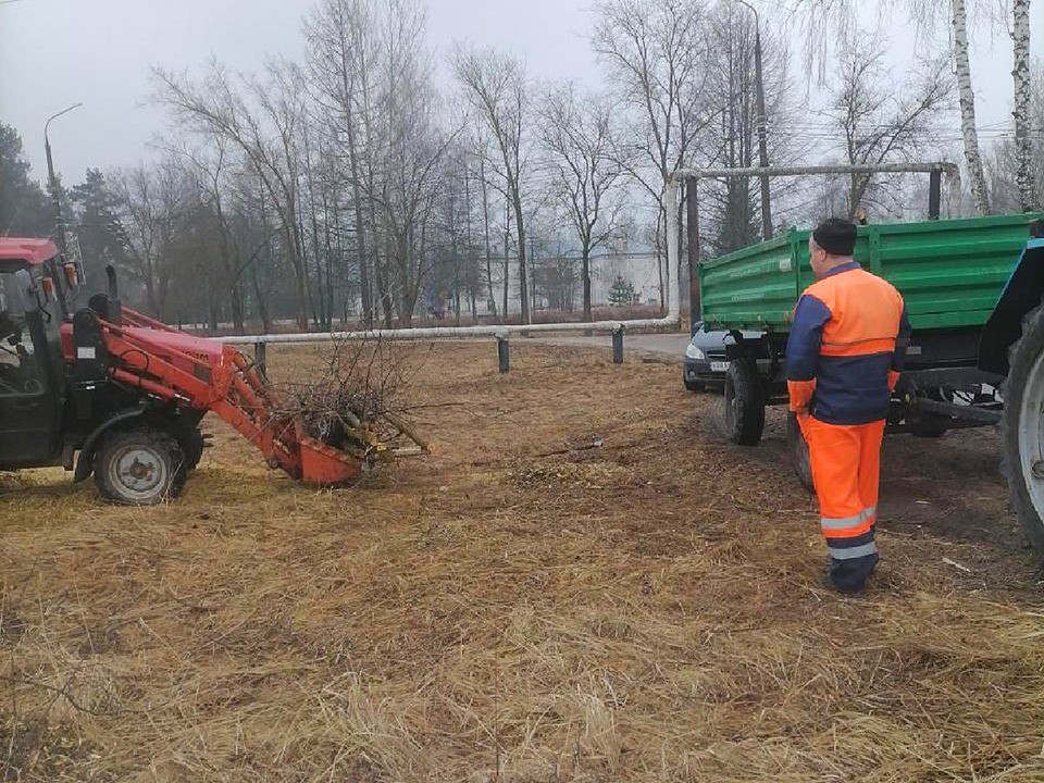 В Туголесском Бору скосили траву, которая за 10 лет выросла с человеческий рост