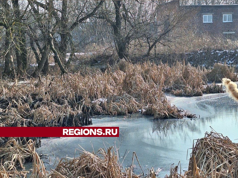 В Балашихе расследуют очередной сброс химикатов в реку Малиновку