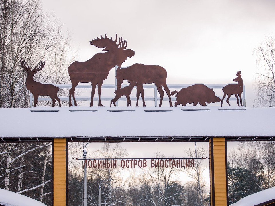 Экологические центры парка «Лосиный остров» закрыли из-за неблагоприятной погоды