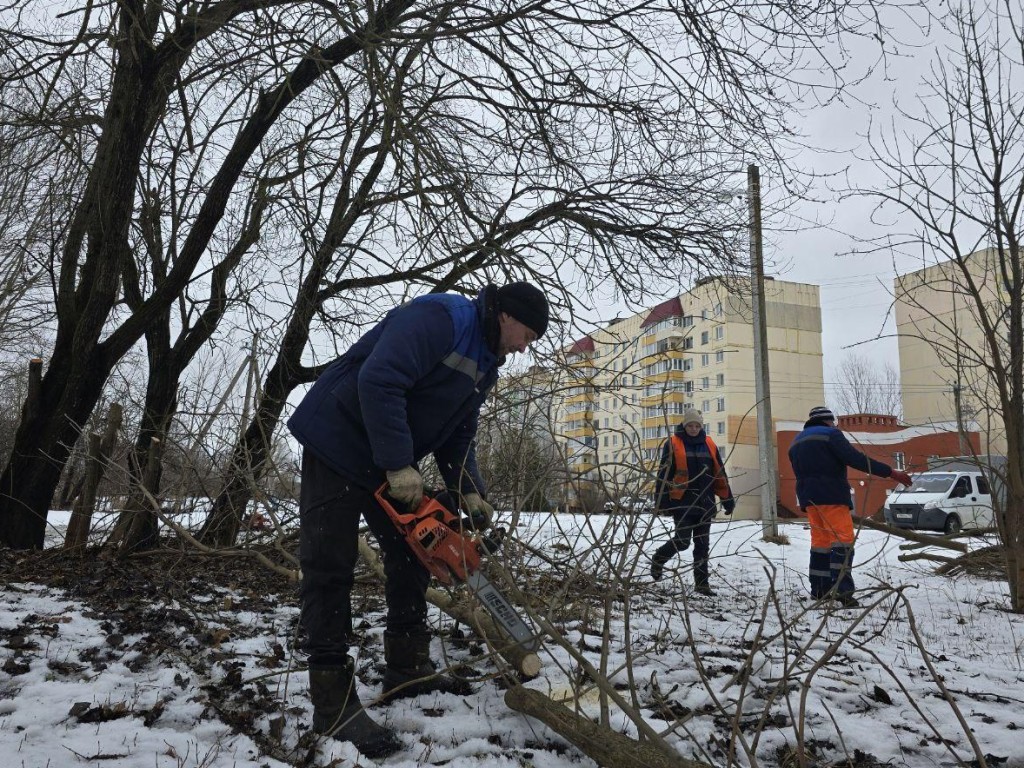 Популярную в Можайске «народную тропу» очистили от сухостоя